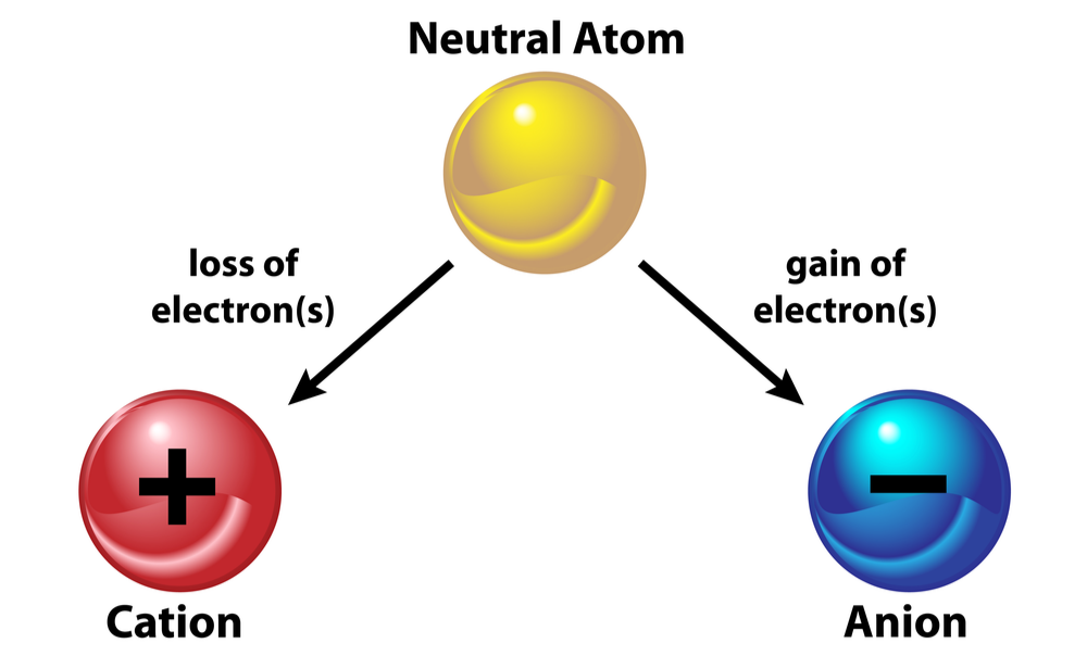 Given a neutral atom, the loss of electron results in a cation and the gain of electron results in an anion.