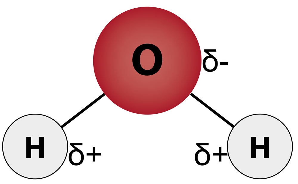 2D water molecule structure with charges
