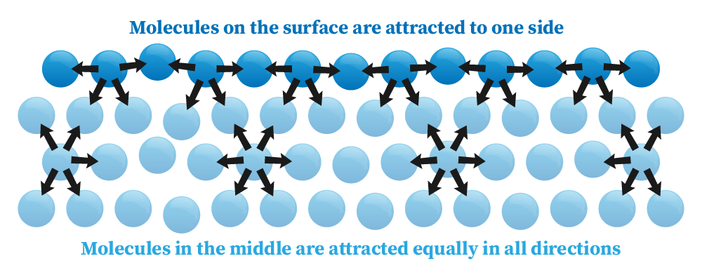 Full image description in following section.