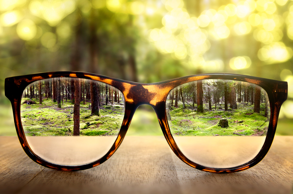  glasses on a park bench or table with a blurred forest in the background, seen clearly through the lenses of the glasses
