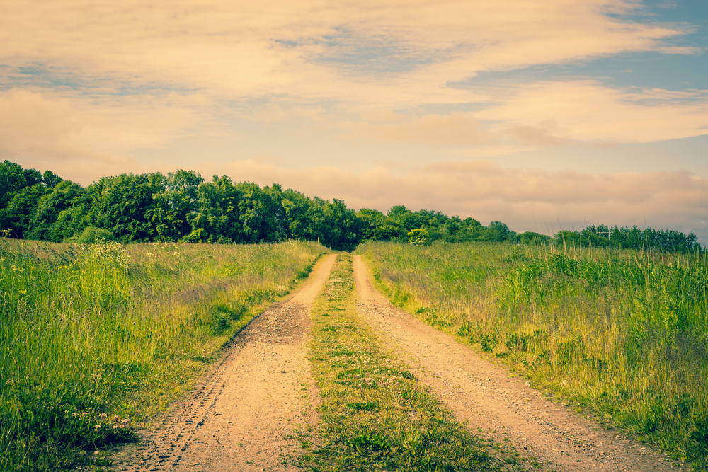 Countryside road on a idyllic meadow