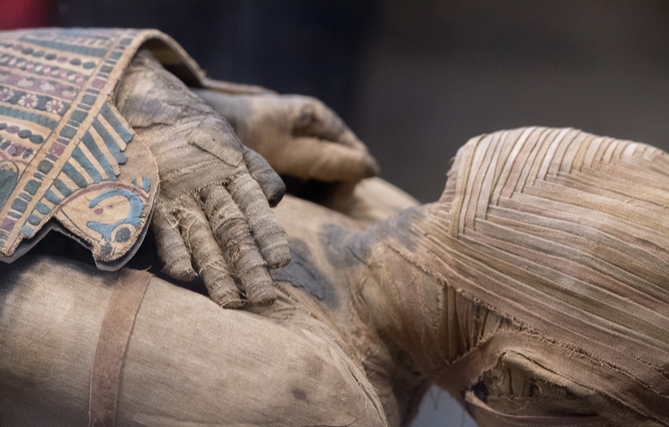 Egyptian mummy close up detail - Image