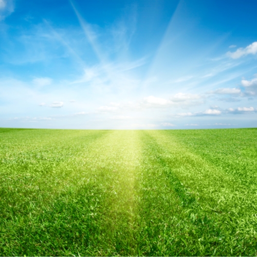 Sun shining in the bright blue sky