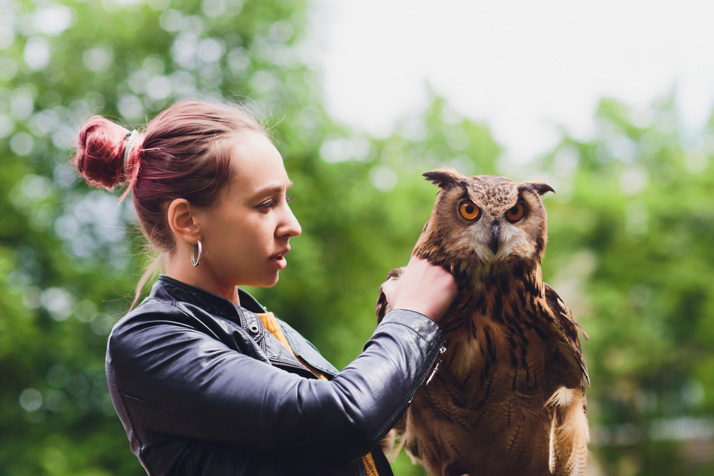 woman petting owl