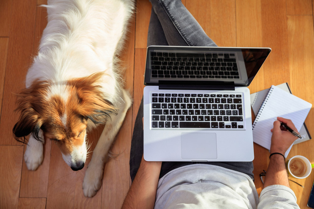 dog sitting next to person with laptop writing on notepad