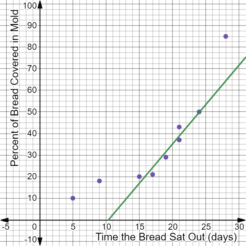 A detailed description of this image follows in the next paragraph.