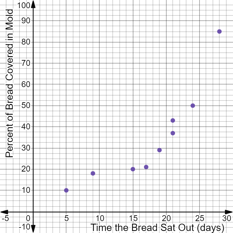 A detailed description of this image follows in the next paragraph.