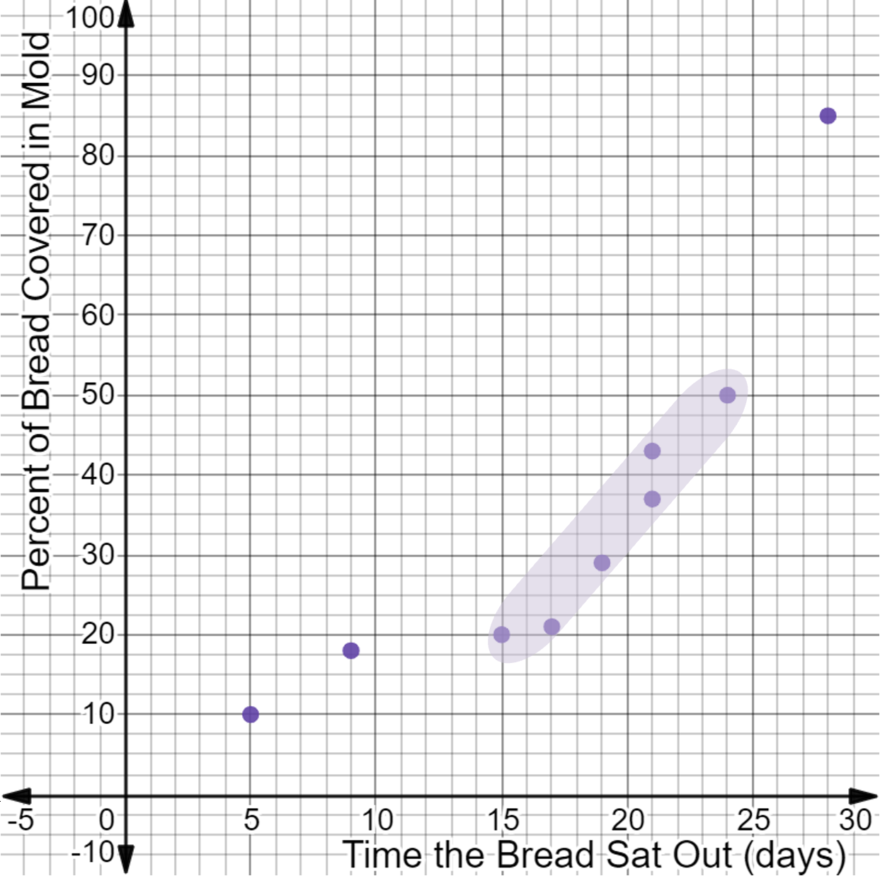 A detailed description of this image follows in the next paragraph.