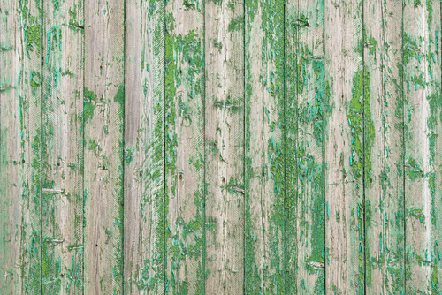 A detailed description of this image follows in the next paragraph.