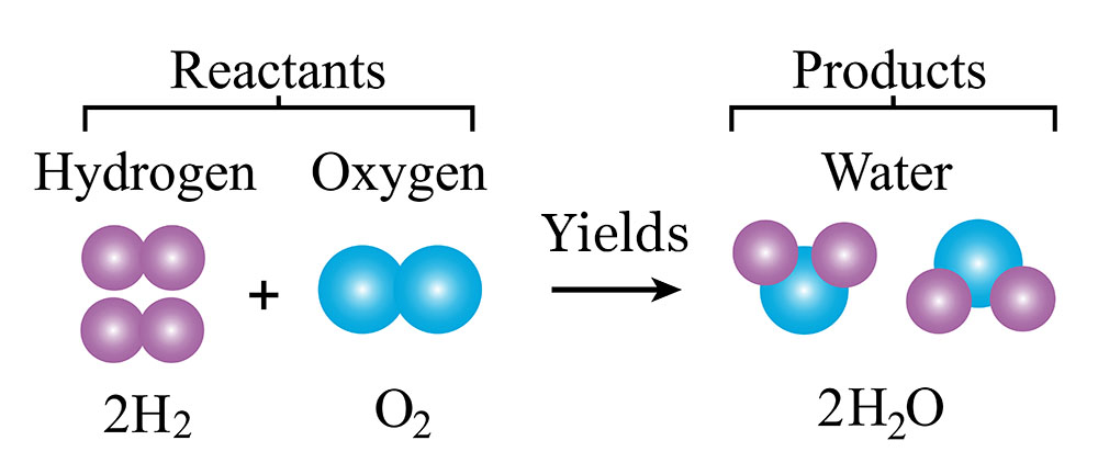 A detailed description of this image follows in the next paragraph.