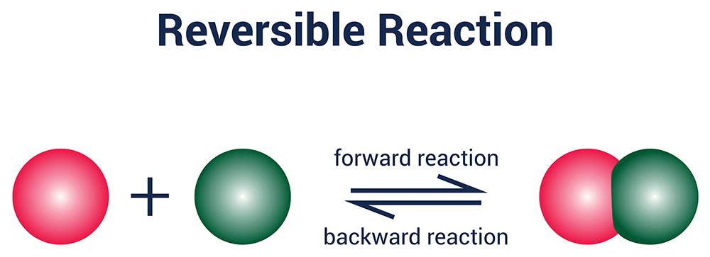 reversible reaction
