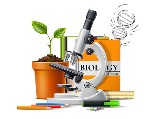Realistic biology concept with microscope, green plant seedling in ceramic pot on background of books and stationery. Vector Molecular bio technologies in laboratory, back to school design.