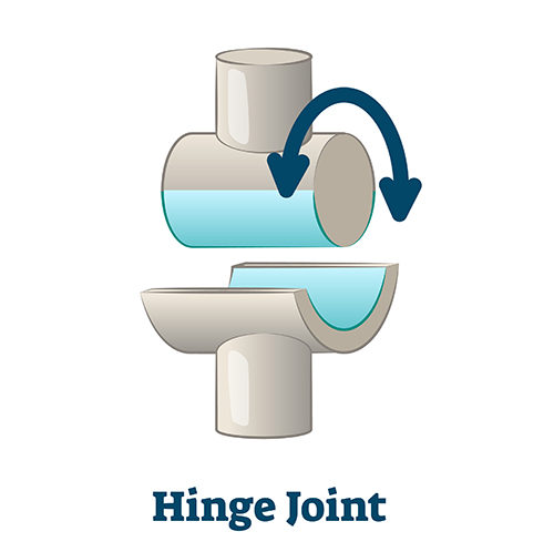 hinge joint illustration.