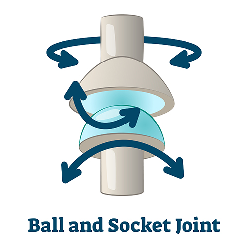 ball and socket joint illustration.