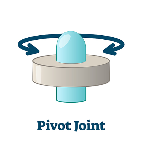 pivot joint illustration.
