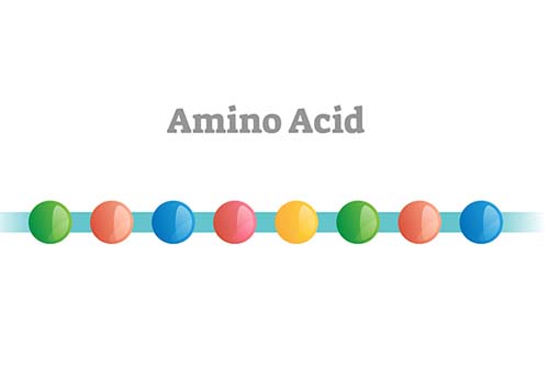 amino acid illustration.