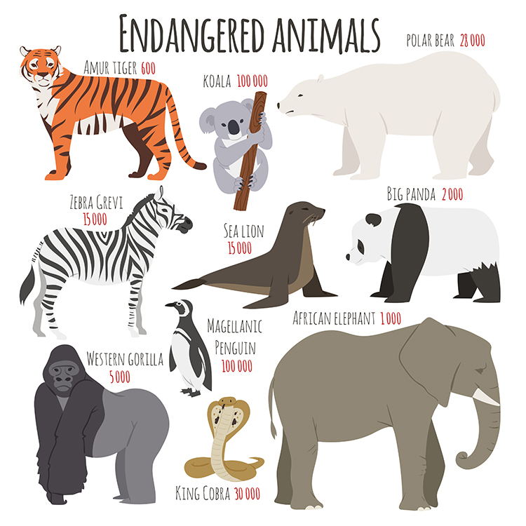 Different kinds deleted species dying rare uncommon red book animals characters vector illustration.