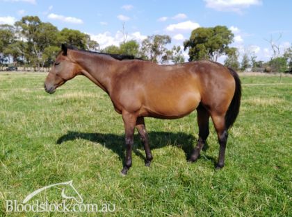 Charge Forward Commercial Mare 3 in 1 package