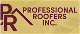Professional Roofers