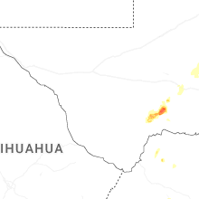 Regional Hail Map for Alpine, TX - Tuesday, May 19, 2026