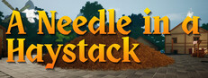 A Needle In a Haystack System Requirements