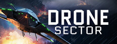 Drone Sector System Requirements
