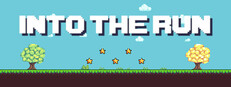 INTO THE RUN System Requirements