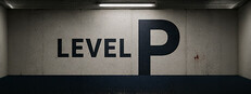 Level P System Requirements