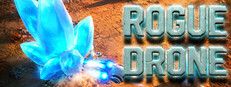 Rogue Drone System Requirements