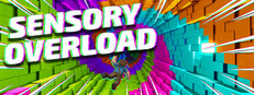 Sensory Overload System Requirements
