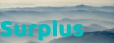 Surplus System Requirements