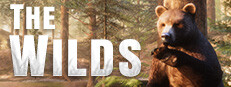 The WILDS System Requirements