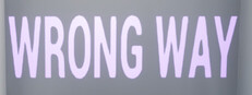 WRONG WAY System Requirements WRONG WAY System Requirements