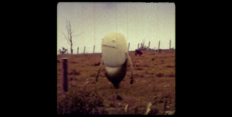 Migration