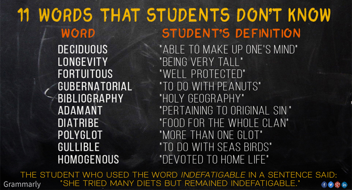 words for definition essay words for definition essay