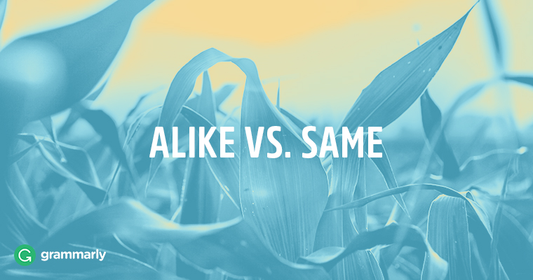Alike vs. Same