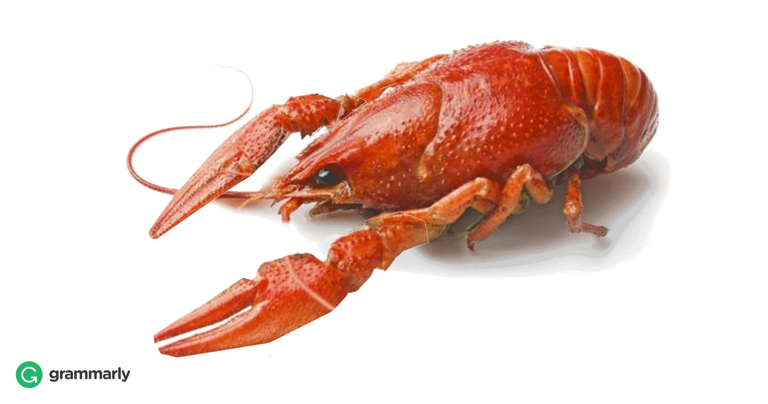 _Crawfish