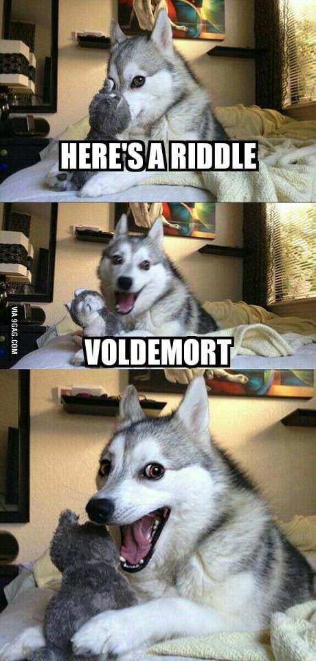 Voldemort Riddle Husky Pun Meme.