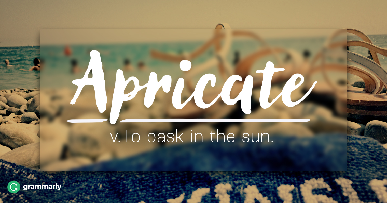 Apricate Explanation