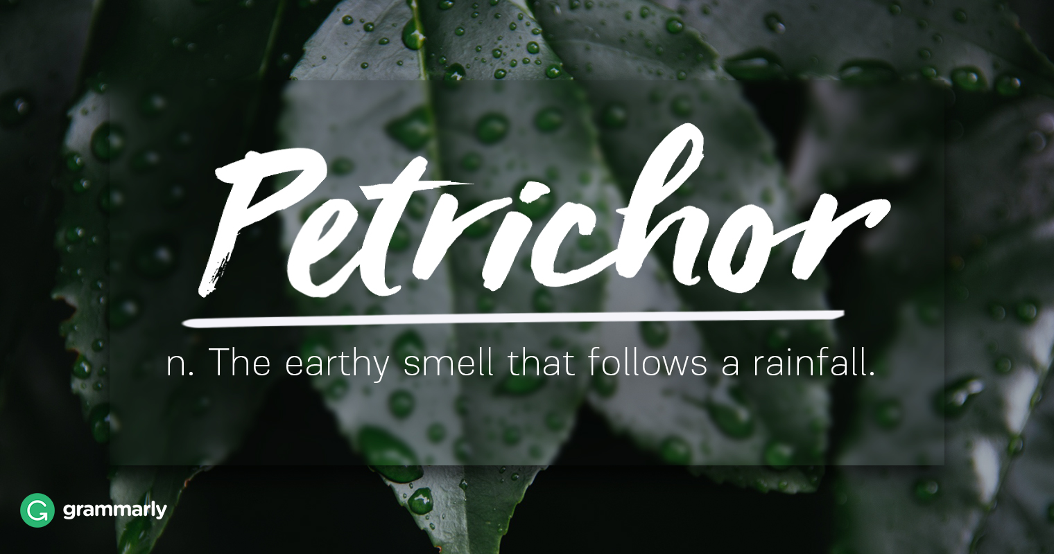 Petrichor Explanation