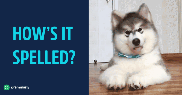 Occurred, Occured, or Ocurred—Which Spelling Is Right? gif