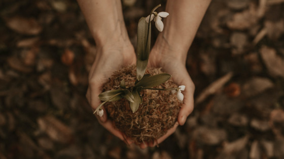 Att trotsa rädslan för att våga gå dit vi verkligen vill! 🐲❤️
