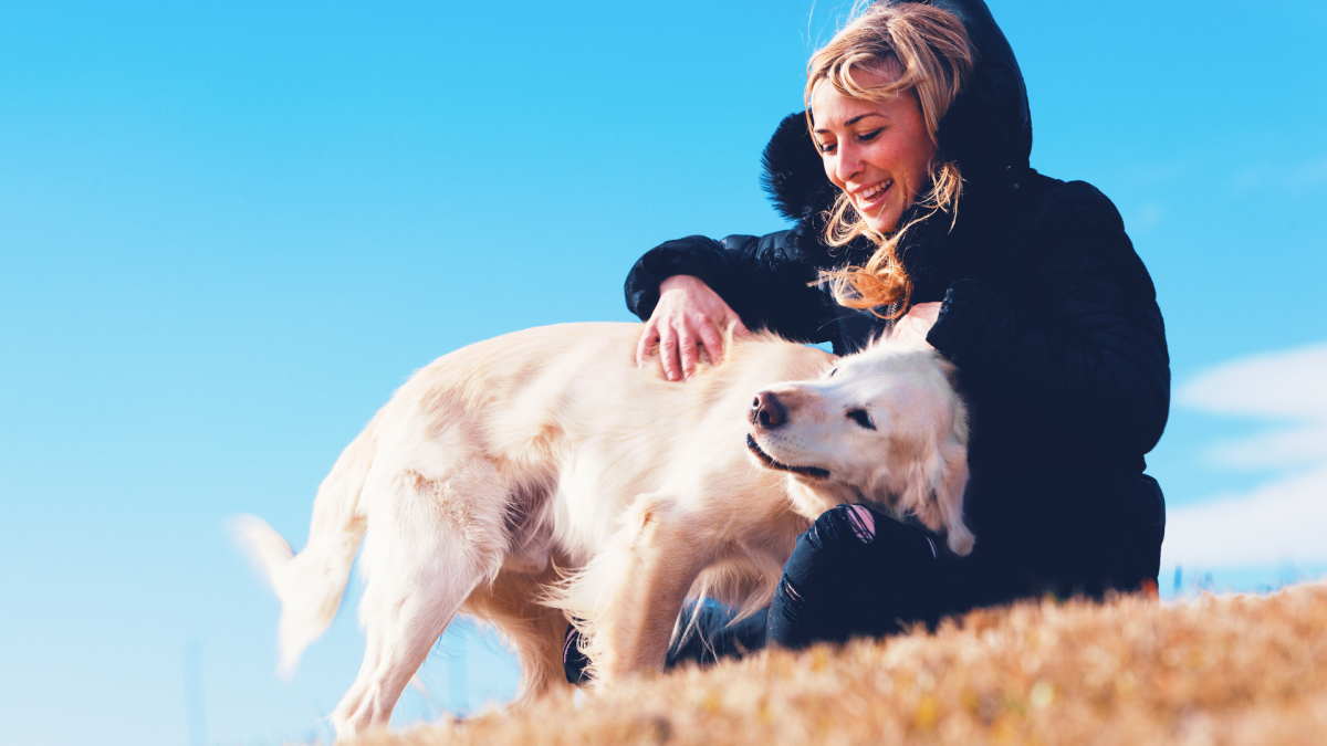 Guarding Their Hearts: How to Help Your Dog Feel Safe 