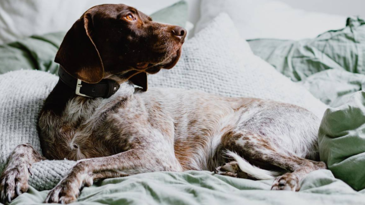 How Context and Environment Affect Behaviour