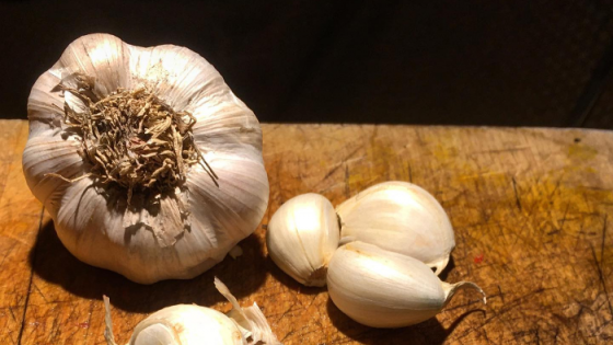 The thing about garlic