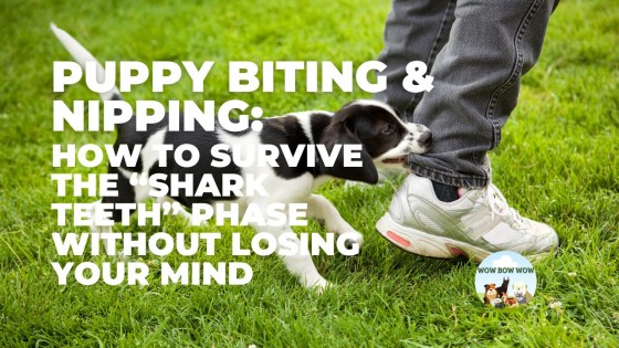 Puppy Biting & Nipping: