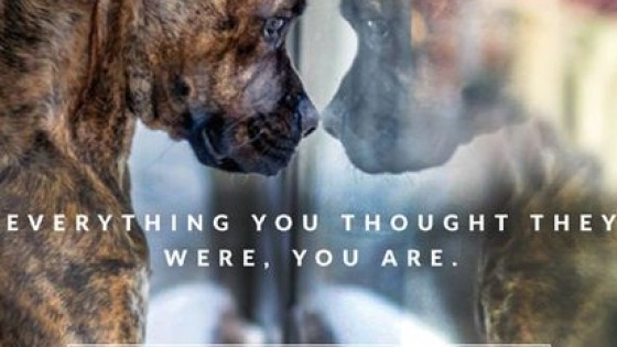 To Heal Or to Harm - how are you hurting yourself?