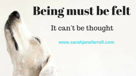 Radical Endings, Reclamation and Renewal