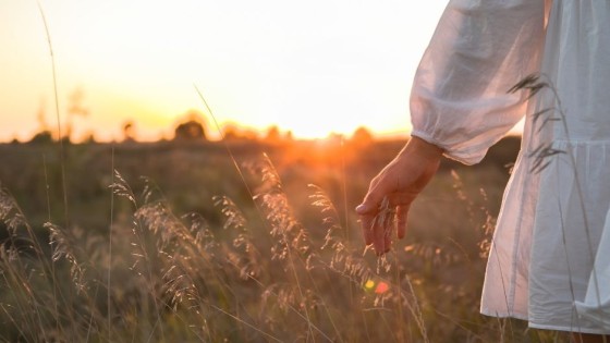 Mind-Body Awareness: The Quiet Return to Clarity, Confidence, and Creative Aliveness