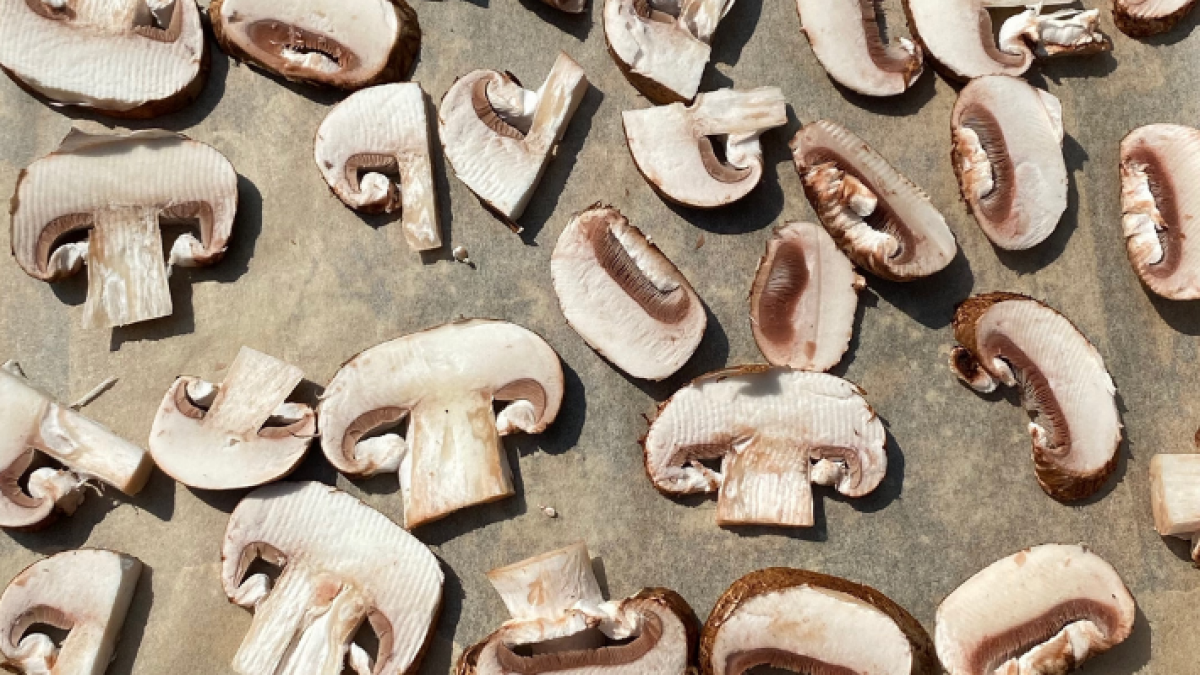 Sunlight, Salmon and Supplements - getting my D up to par